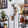 Ripoll floor lamp gold, clear, coppery, Smoke-coloured, 6-light sources