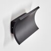 Grana outdoor wall light, wall light LED black, 2-light sources