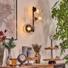 Koyoto globe light, wall light clear, 3-light sources