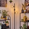 Koyoto floor lamp 31 cm clear, 3-light sources