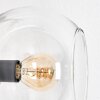 Koyoto floor lamp 31 cm clear, 3-light sources