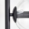 Koyoto floor lamp 31 cm clear, 3-light sources
