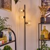 Koyoto floor lamp 31 cm clear, 3-light sources