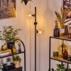 Koyoto floor lamp 31 cm clear, 3-light sources