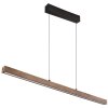 Globo lighting Olivus pendant light LED black, 1-light source