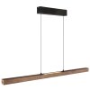 Globo lighting Olivus pendant light LED black, 1-light source