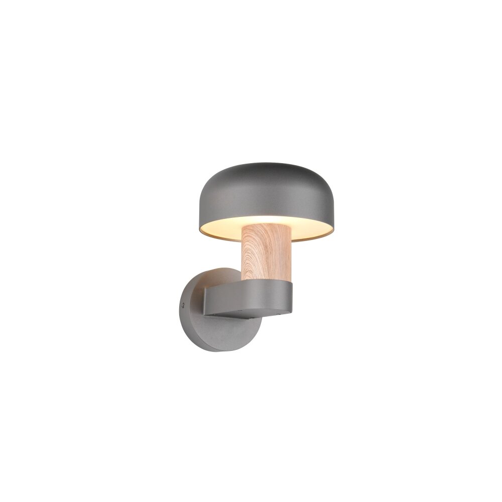 Trio lights FRASER wall light Light wood, 1-light source main product photo