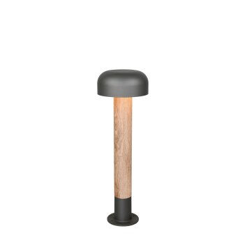 Trio lights FRASER outdoor floor lamp Light wood, 1-light source