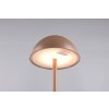 Reality lights Ricardo table lamp LED brown, 1-light source