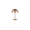 Reality lights Munoz table lamp LED brown, 1-light source