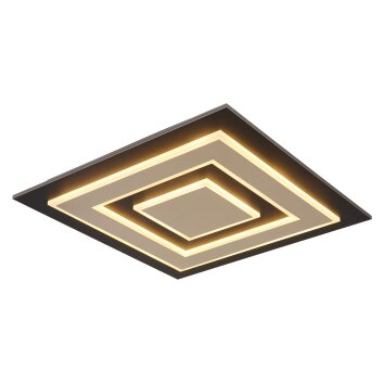 Globo lighting Jayden ceiling light LED black, 1-light source