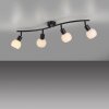 Leuchten Direkt lights LOKI ceiling light LED black, 4-light sources