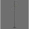 Leuchten Direkt lights RITUS floor lamp LED black, 2-light sources
