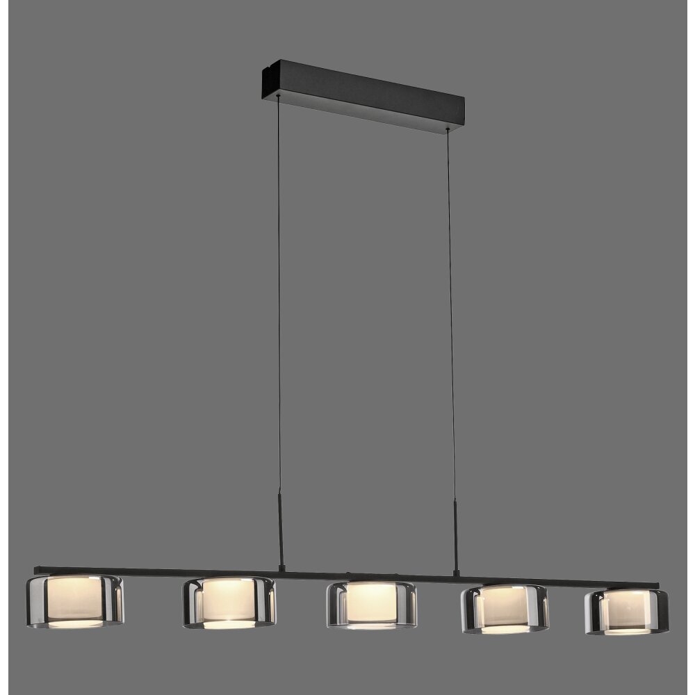 Paul Neuhaus lights Rika pendant light LED black, 5-light sources main product photo