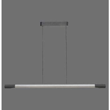 Paul Neuhaus lights Hoop pendant light LED anthracite, silver, 1-light source