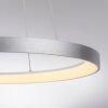 Paul Neuhaus lights Hoop pendant light LED silver, 1-light source
