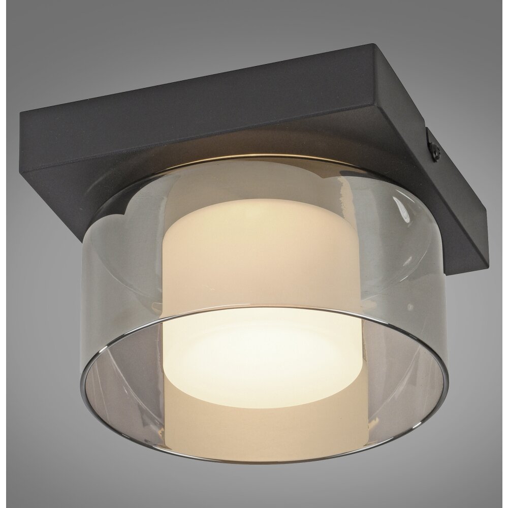 Paul Neuhaus lights Rika ceiling light LED black, 1-light source main product photo