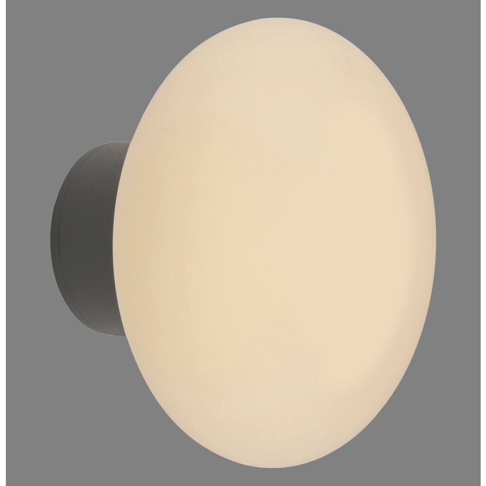 Paul Neuhaus lights Olaf wall and ceiling light LED grey, 1-light source main product photo