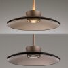 Paul Neuhaus lights Moon pendant light LED bronze, 2-light sources