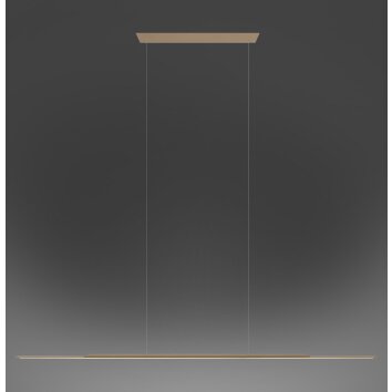Paul Neuhaus lights Surface pendant light LED bronze, 1-light source