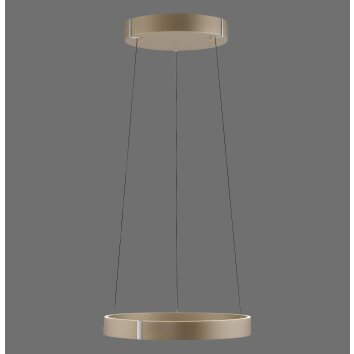 Paul Neuhaus lights E-Clipse pendant light LED bronze, 2-light sources, Remote control
