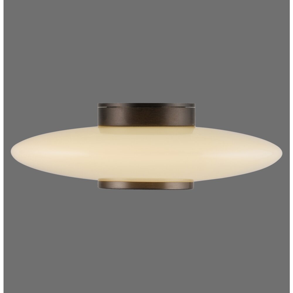 Paul Neuhaus lights Vitrum wall and ceiling light LED brown, 1-light source main product photo