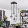 Ripoll hanging light, globe light, Cluster pendant lamp clear, Smoke-coloured, 4-light sources