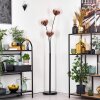 Ripoll globe light, floor lamp clear, coppery, 3-light sources