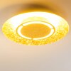 Mala Ceiling Light LED gold, 1-light source