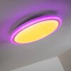 BERMEO Ceiling Light LED white, 2-light sources, Remote control, Colour changer