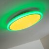 BERMEO Ceiling Light LED white, 2-light sources, Remote control, Colour changer