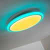 BERMEO Ceiling Light LED white, 2-light sources, Remote control, Colour changer