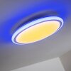 BERMEO Ceiling Light LED white, 2-light sources, Remote control, Colour changer