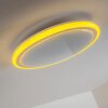 BERMEO Ceiling Light LED white, 2-light sources, Remote control, Colour changer