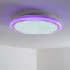 BERMEO Ceiling Light LED white, 2-light sources, Remote control, Colour changer