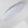 BERMEO Ceiling Light LED white, 2-light sources, Remote control, Colour changer