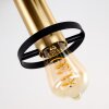 Alvesta Ceiling Light gold, brass, black, 3-light sources