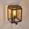 GREENSBORO Outdoor Wall Light black, 1-light source