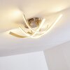 Aranu Ceiling Light LED matt nickel, 4-light sources