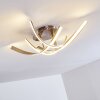 Aranu Ceiling Light LED matt nickel, 4-light sources