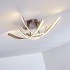 Aranu Ceiling Light LED matt nickel, 4-light sources