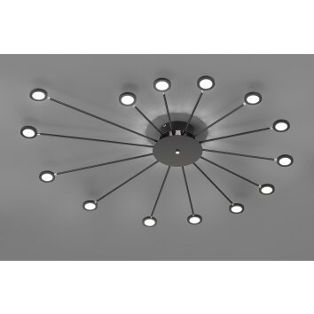 Trio PEACOCK Ceiling Light LED black, 15-light sources