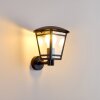 SIERA outdoor wall light black, 1-light source