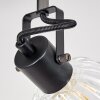 Bohemia Ceiling Light black, 4-light sources