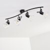 Bohemia Ceiling Light black, 4-light sources