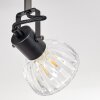 Bohemia Ceiling Light black, 4-light sources