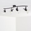 Bohemia Ceiling Light black, 4-light sources