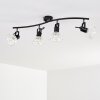 Bohemia Ceiling Light black, 4-light sources