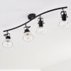 Bohemia Ceiling Light black, 4-light sources