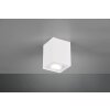 Ceiling Light Trio Leuchten BISCUIT white, 1-light source